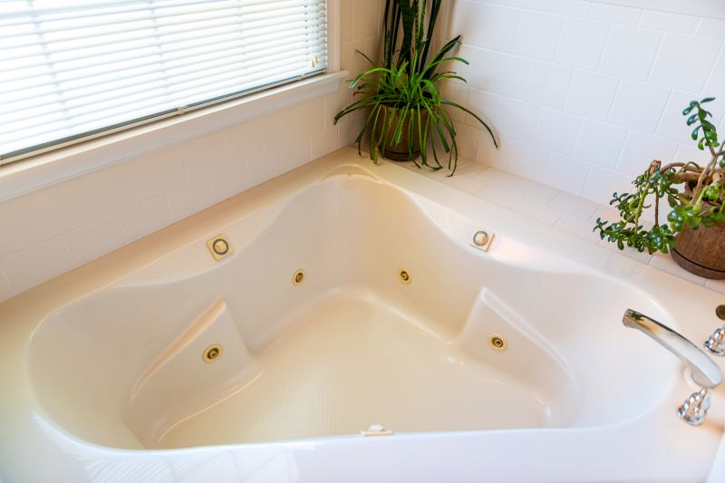 Summer Bathtub Renovation